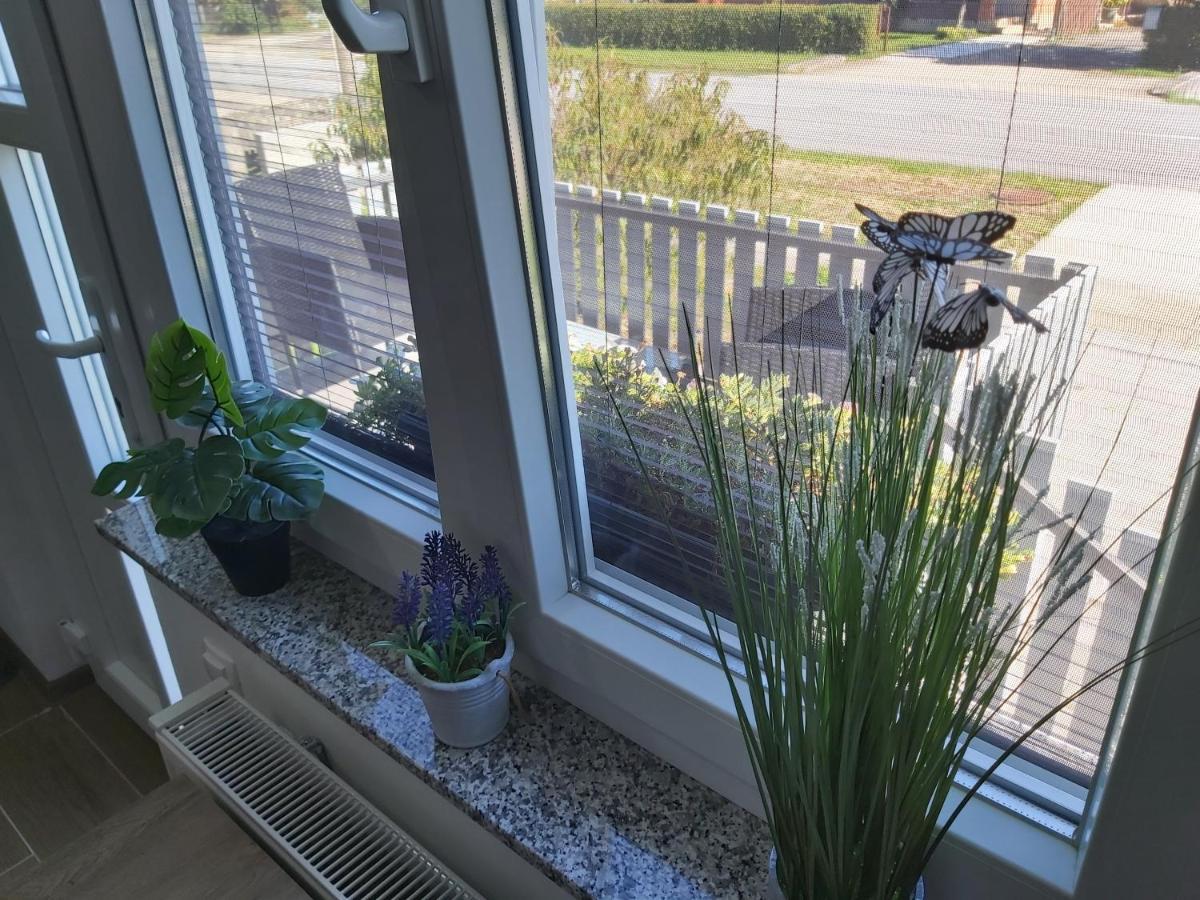Studio Apartman Draga Velika Ludina Zewnętrze zdjęcie