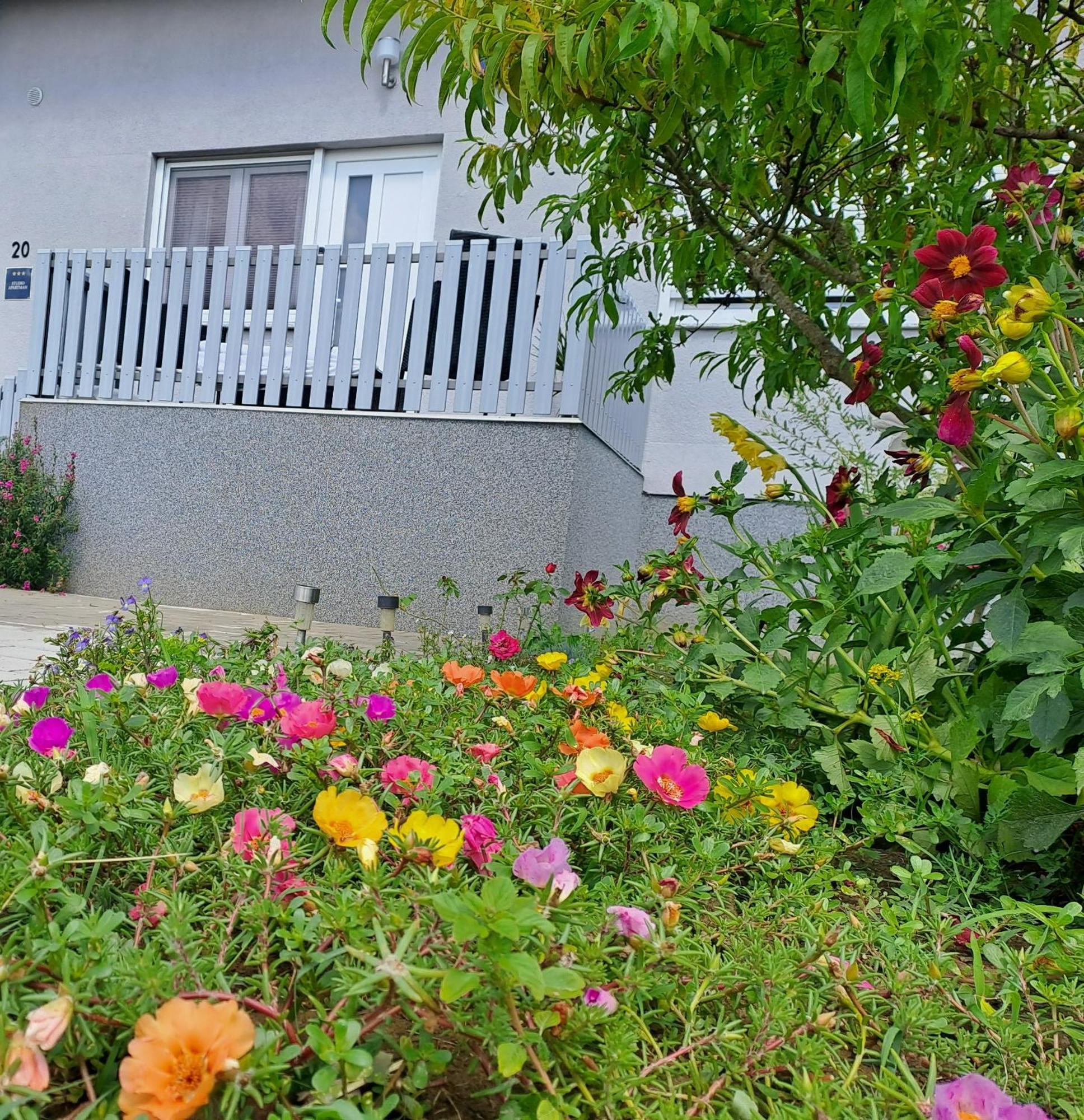 Studio Apartman Draga Velika Ludina Zewnętrze zdjęcie